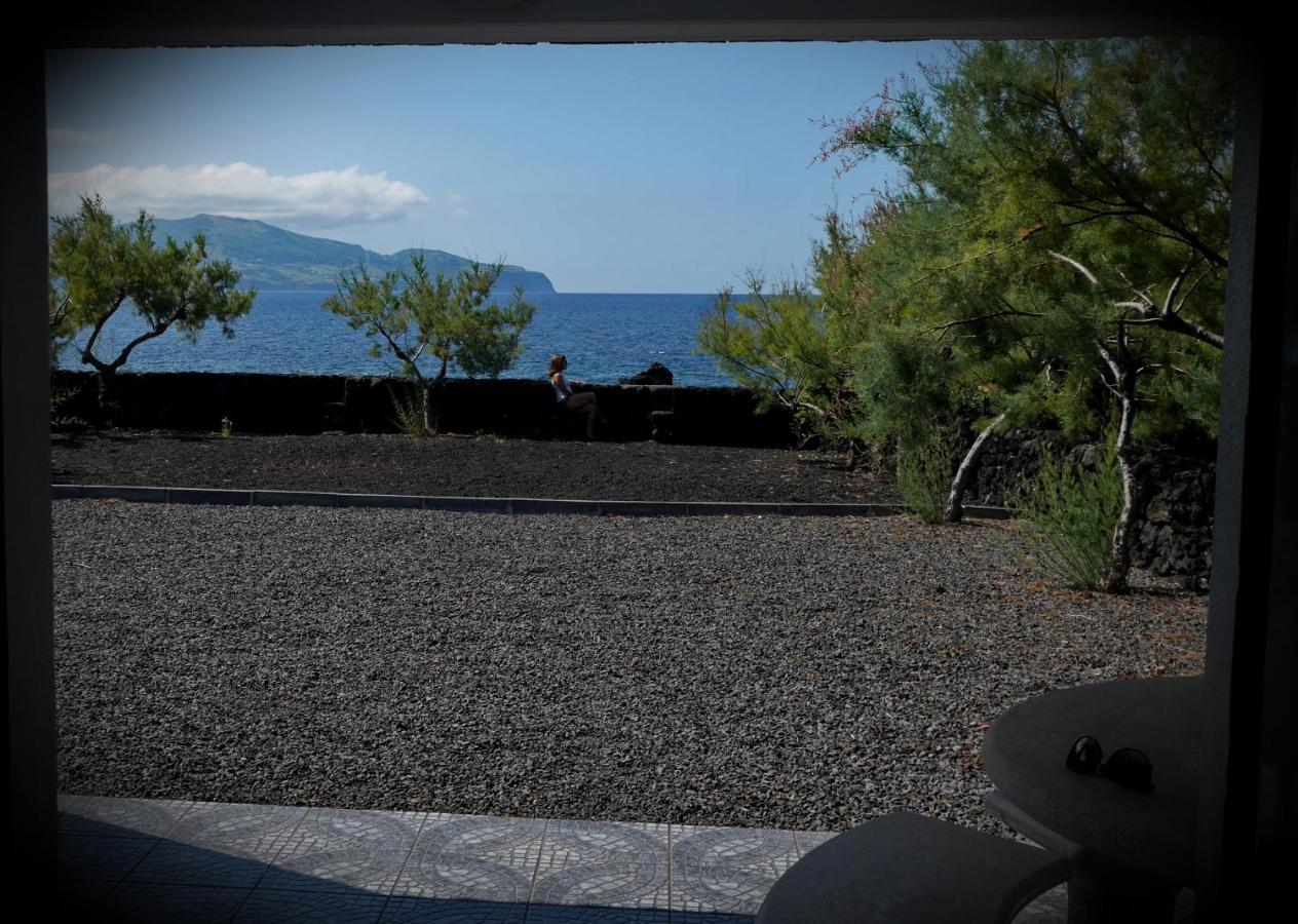 Casa Caminho Da Barca Villa Madalena  Exteriör bild